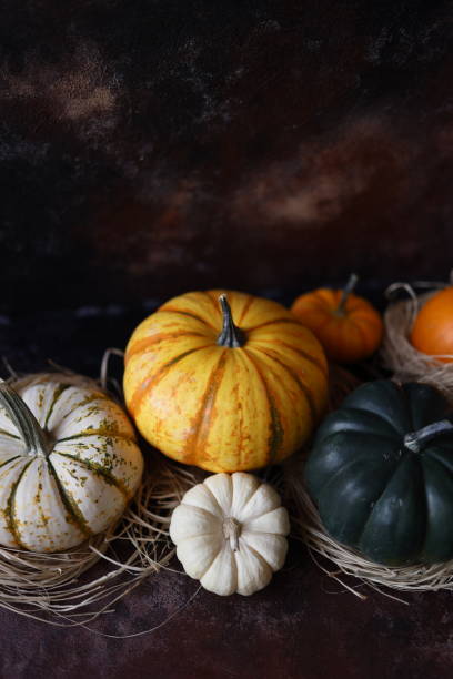 istock Pumpkin varieties among straws on a black-brown rust effect background 1343878600