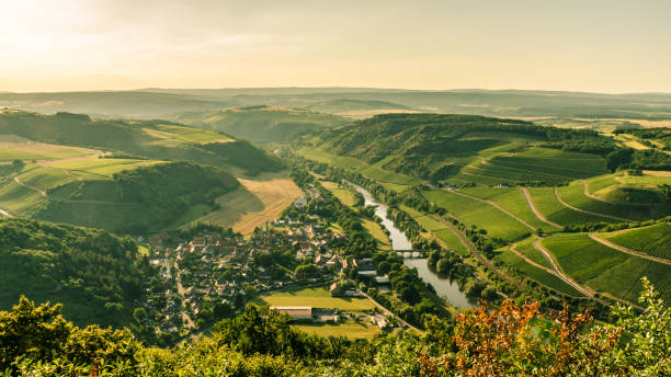 Aussicht auf das Nahetal im Sommer Panoramic view of the Nahe Valley with vineyards and the village of Oberhausen an der Nahe on a summer evening golden hour drink stock pictures, royalty-free photos & images