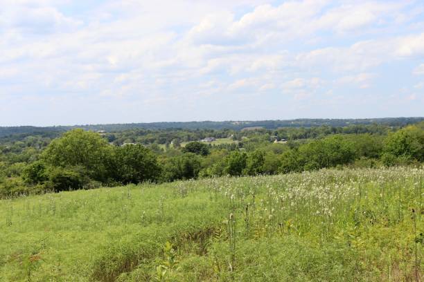 istock Country Field Horizon 1343879749