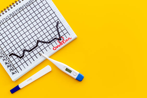 istock Thermometer and ovulation test on basal temperature chart. Predicting fertility 1343881092
