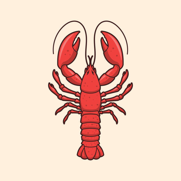 ilustraciones, imágenes clip art, dibujos animados e iconos de stock de langosta - lobster