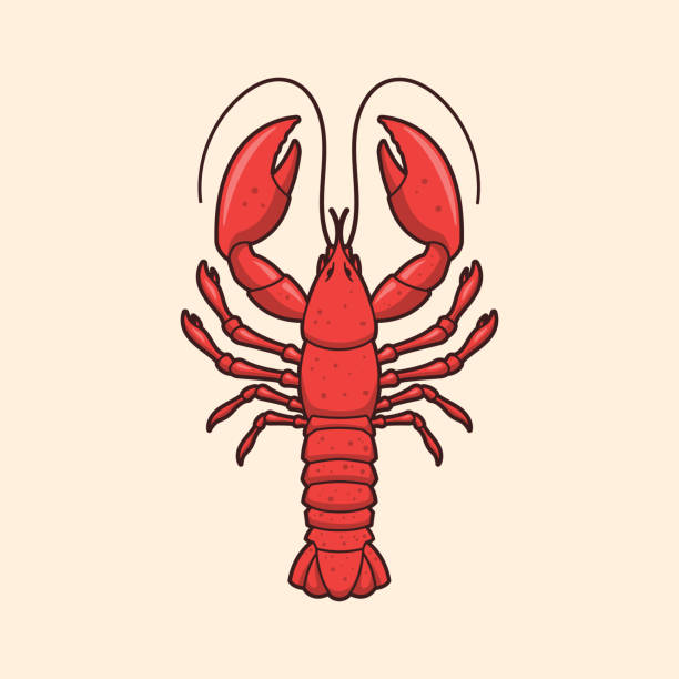 Lobster Red lobster vector illustration lobster seafood stock illustrations