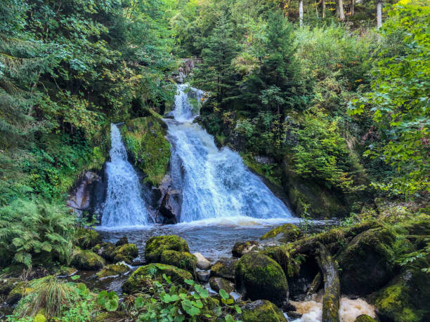 istock A waterfall in the Black Forest in Germany. 1343882267
