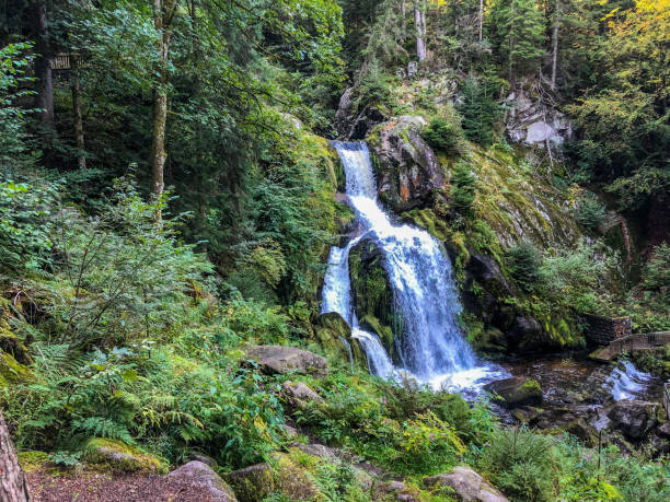 istock A waterfall in the Black Forest in Germany. 1343882616