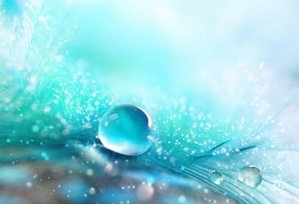 A drop of water dew on a fluffy feather close-up macro with sparkling bokeh on blue blurred background. Abstract romantic delicate magical artistic image for the holiday, cards, Christmas, New Year.