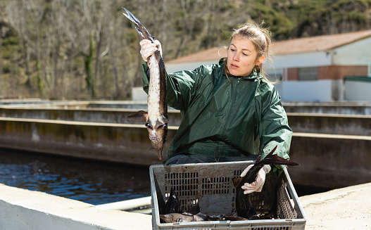 Proud young female owner of fish farm standing near pools with fresh sturgeons in hands