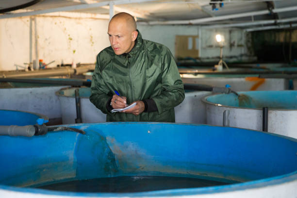 istock Man at trout breeding incubator 1343886398