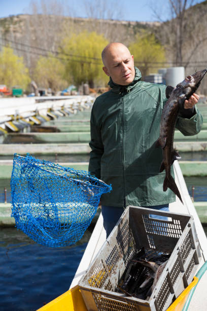 istock Male fishing sturgeon 1343886404