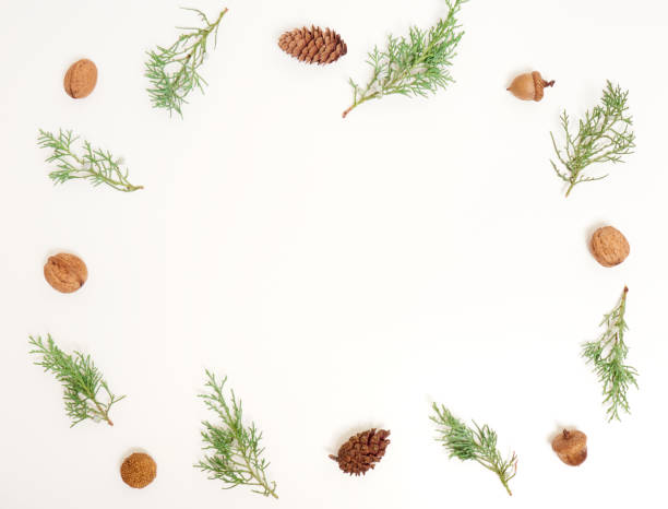 istock Top view of Christmas composition. 1343887505