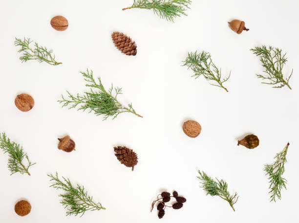 istock Christmas, winter, new year concept. 1343887593