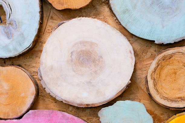 istock Multicolor wooden natural sawn logs as background 1343888754