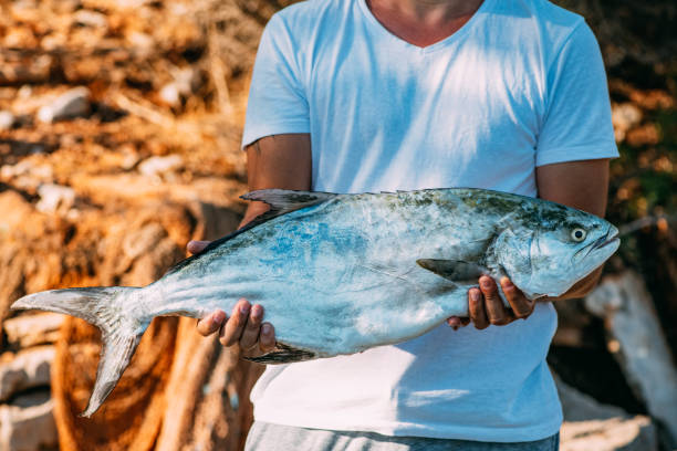 istock The Young Man and the Leer Fish He Caught 1343889125