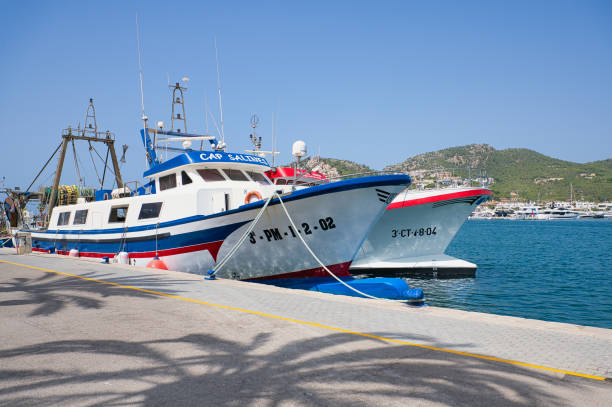 fishing boats in the harbor of Alcudia, Mallorca stock photo