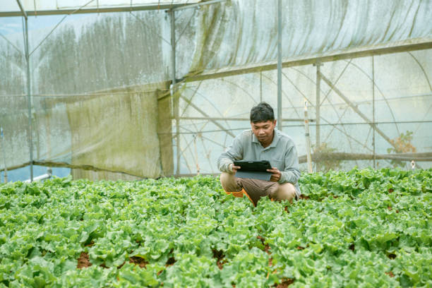 landwirt mit digitalem tablet - technology farm cameron highlands agriculture stock-fotos und bilder