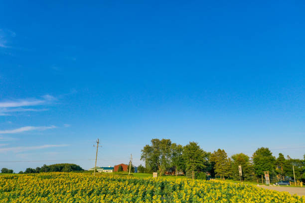 istock Farm at Highway 27 in the sunset, Cookstown, Canada 1343890421