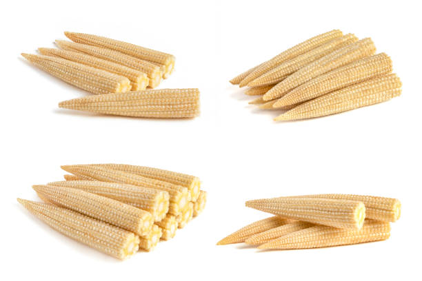 Fresh corn on the cob - white background