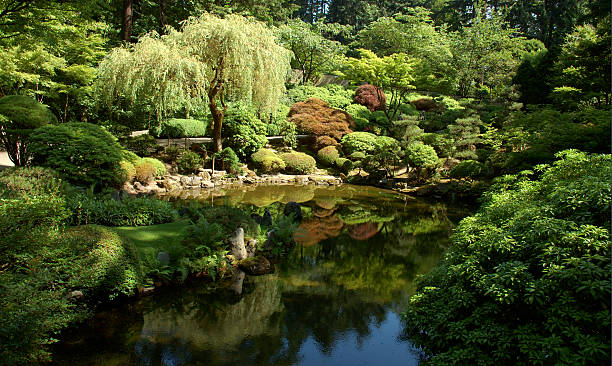 Zen Japanese garden and reflection pond in Portland, Oregon. portland japanese garden stock pictures, royalty-free photos & images