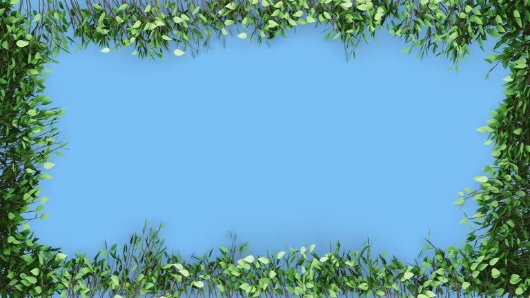 Green Growing Flourish Frame 3D Animation