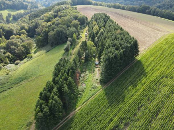 Aerial view of forest corner with agriculture fields