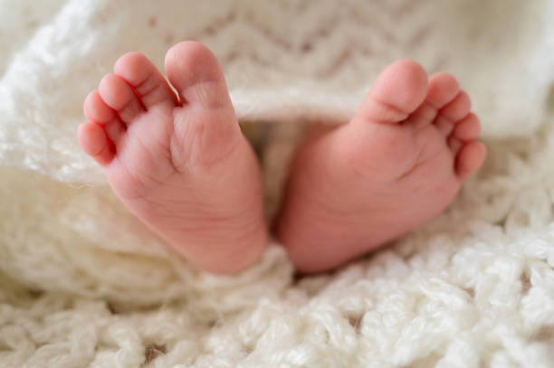 istock Pink baby feet 1343896933
