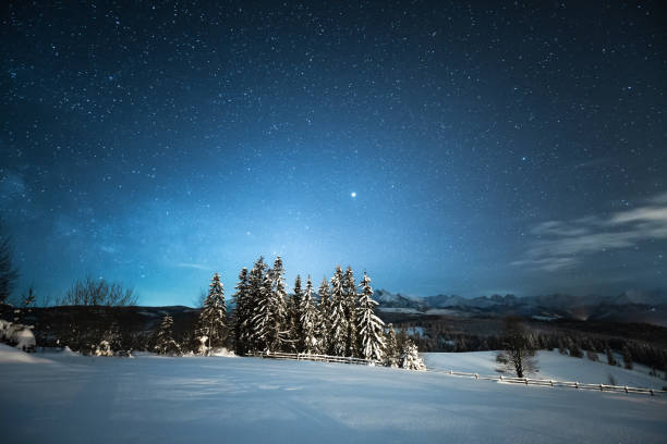istock Snow-cover forest trees under starry night sky. 1343897186