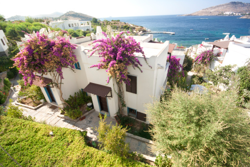Typical white painted summer houses with bougainvillea in Yalıkavak, Bodrum, Turkey