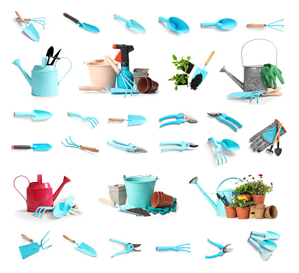 Set of gardening tools and different seedlings on white background