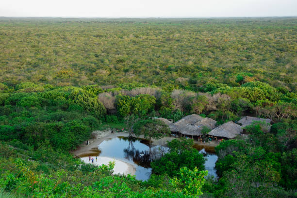 ブラジルのアマゾン熱帯雨林の真ん中にある先住民族。パノラマ - amazonas state 写真 ストックフォトと画像