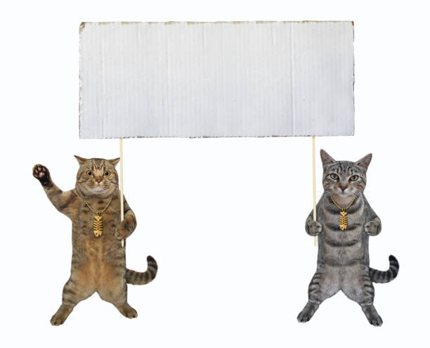 istock Cats with big blank poster on sticks 1343901520