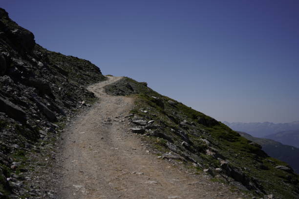 dirt road at a meadow