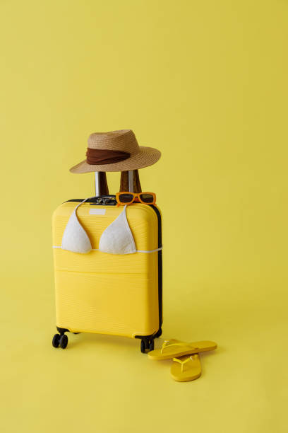 istock Travel bag, straw hat, sunglasses, flip flops and bra in studio 1343910538