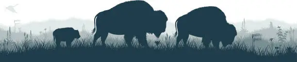 Vector illustration of Seamless panorama of the prarie with brown zubr buffalo bison family, heron and Prairie dog