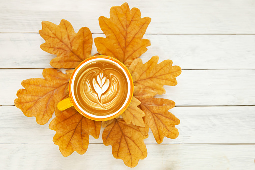 A cup of coffee stands on autumn yellow oak leaves on a white background. Top view. Flat lay.