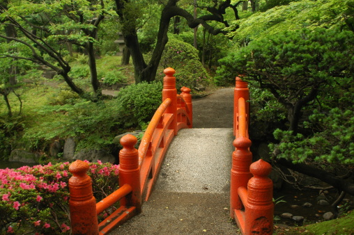 Japanese garden in Tokyo, Japan