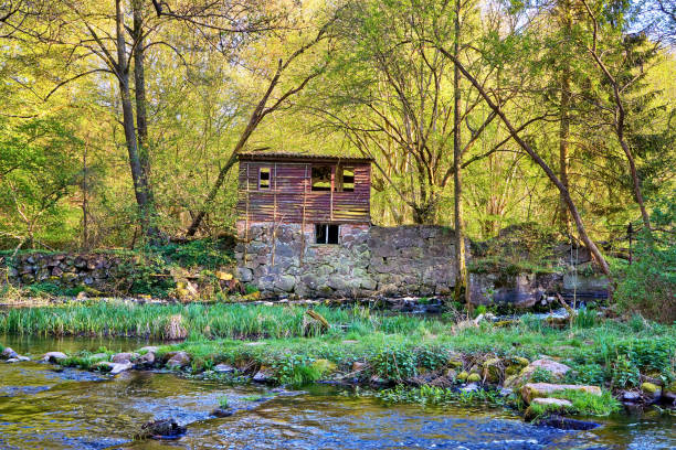 istock Wooden house on a fast flowing river in the forest. 1343920245