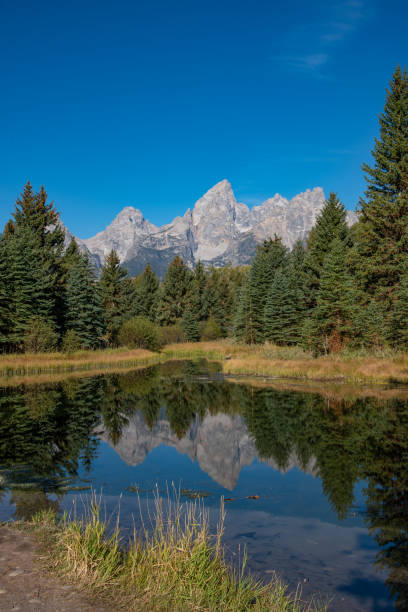 scène d’automne sur la rivière snake au parc national de grand teton - teton range grand teton national park mountain rural scene photos et images de collection