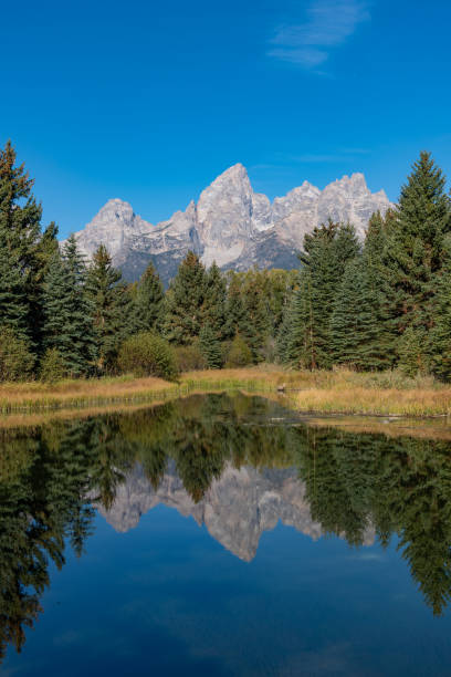 scène d’automne sur la rivière snake au parc national de grand teton - teton range grand teton national park mountain rural scene photos et images de collection