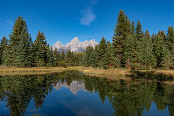 scène d’automne sur la rivière snake au parc national de grand teton - teton range grand teton national park mountain rural scene photos et images de collection