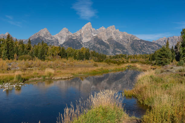 scène d’automne sur la rivière snake au parc national de grand teton - teton range grand teton national park mountain rural scene photos et images de collection