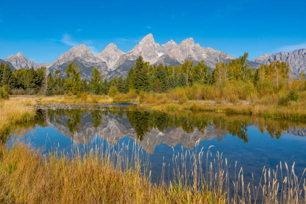 scène d’automne sur la rivière snake au parc national de grand teton - teton range grand teton national park mountain rural scene photos et images de collection