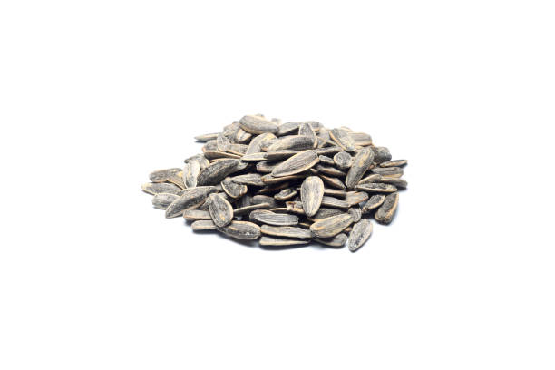istock Dried Seed of Sunflower on white background. 1343930251