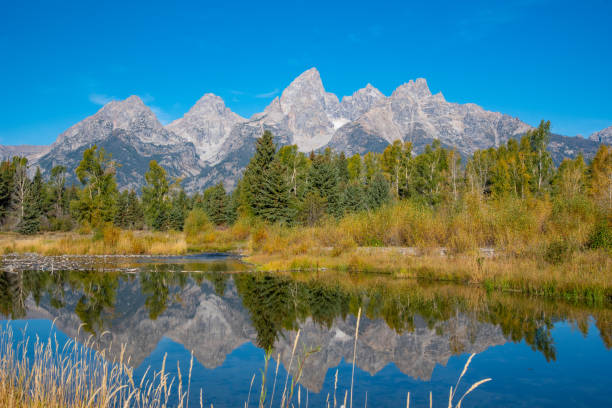 scène d’automne sur la rivière snake au parc national de grand teton - teton range grand teton national park mountain rural scene photos et images de collection