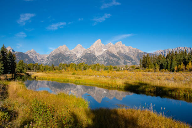 scène d’automne sur la rivière snake au parc national de grand teton - teton range grand teton national park mountain rural scene photos et images de collection