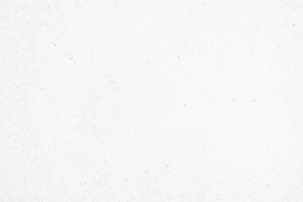 istock White recycle paper cardboard surface texture background 1343934998