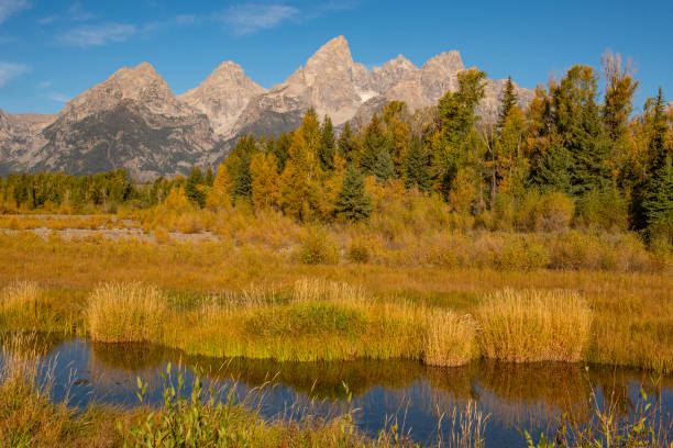 scène d’automne sur la rivière snake au parc national de grand teton - teton range grand teton national park mountain rural scene photos et images de collection