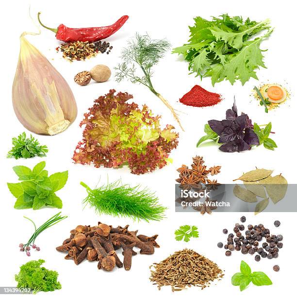 Spice And Herb Set Stock Photo - Download Image Now - Anise, Basil, Bay Leaf