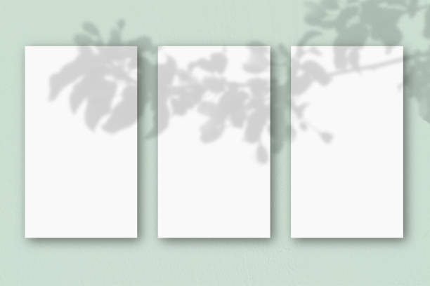 istock 3 vertical sheets of textured white paper on light green table background. Mockup overlay with the plant shadows. Natural light casts shadows from an exotic plant. Horizontal orientation 1343943673