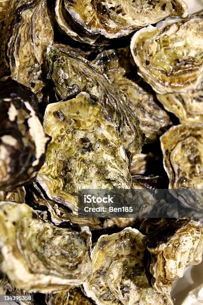 Świeże Oyster - zdjęcia stockowe i więcej obrazów Fotografika - Fotografika, Jedzenie, Ostryga