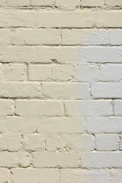 istock Part of a light green painted brick wall 1343959601