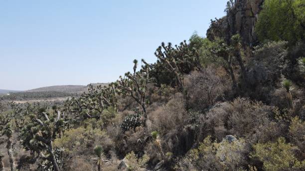 Cadereyta town in Queretaro.